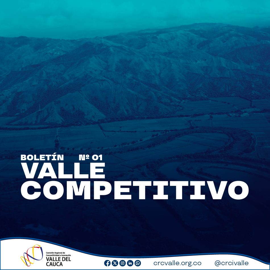 Imagen de Boletín Valle Competitivo N° 1