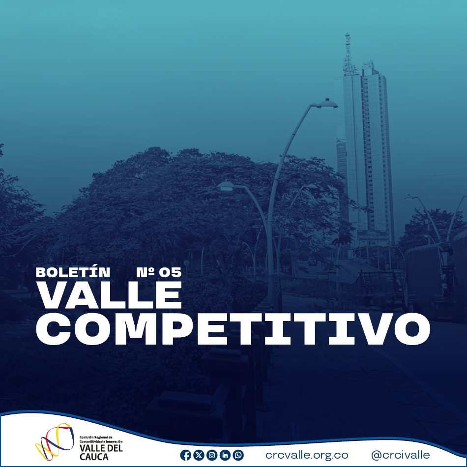 Imagen de Boletín Valle Competitivo N° 5