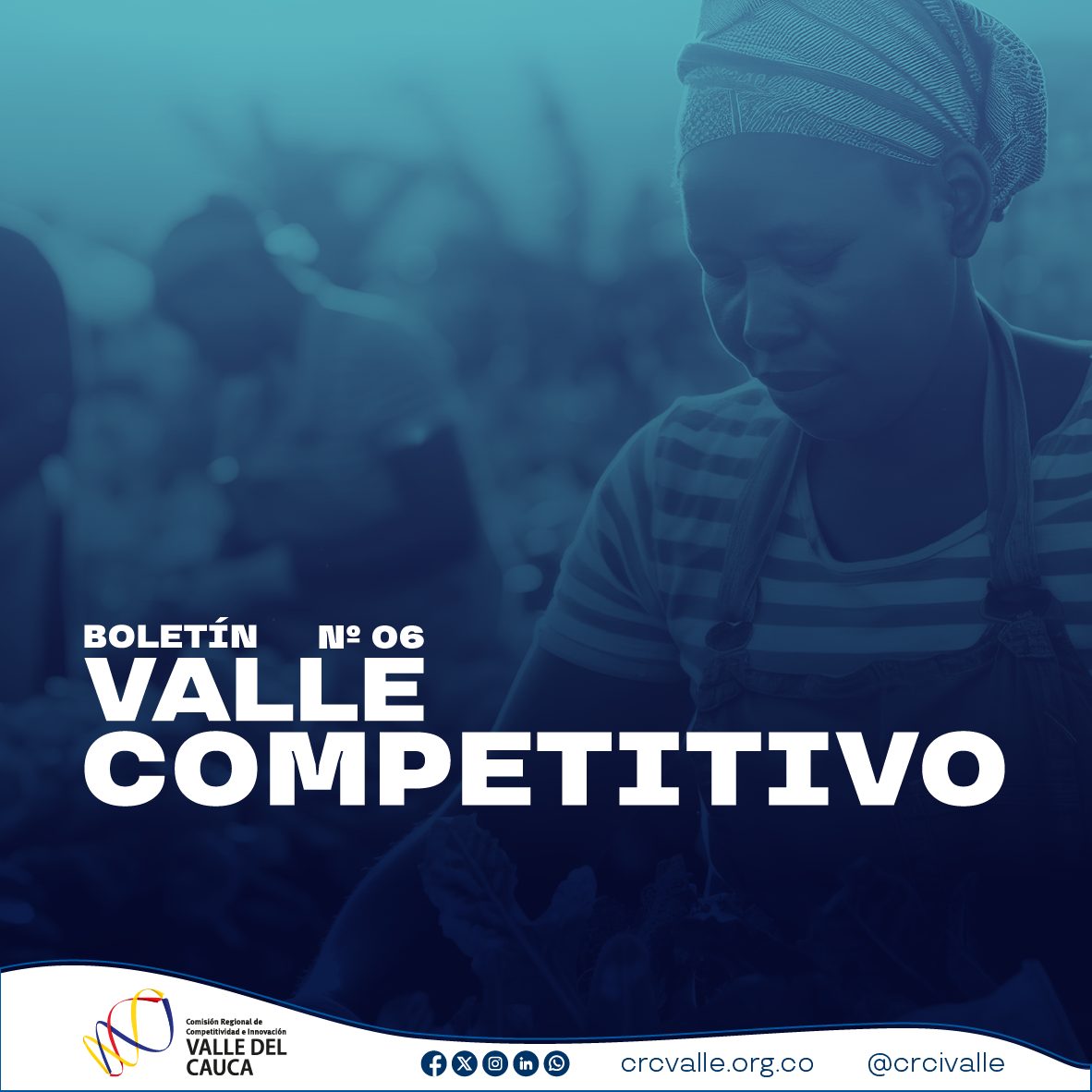 Imagen de Boletín Valle Competitivo N° 6