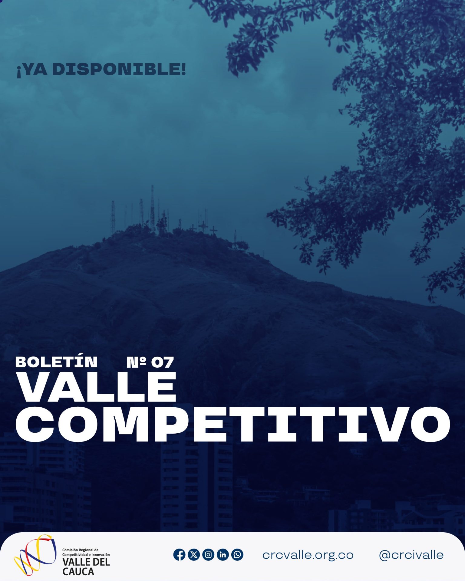 Imagen de Boletín Valle Competitivo N° 7