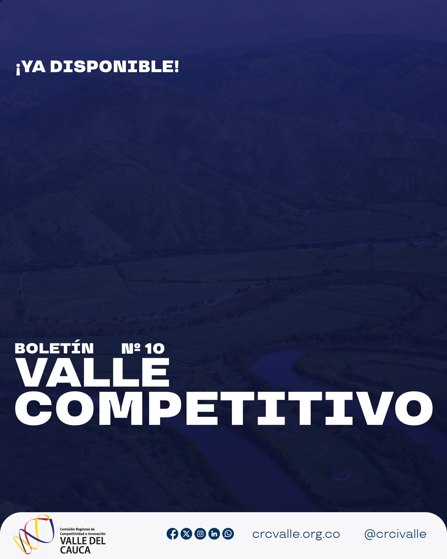 Imagen de Boletín Valle Competitivo N°10